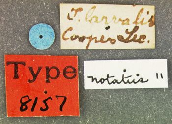 Media type: image;   Entomology 8157 Aspect: labels